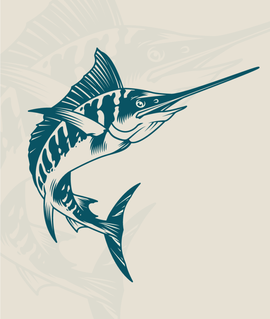 logo design, fishing, bashford fishing charters, marketing, south africa, branding, bold finch, graphic design