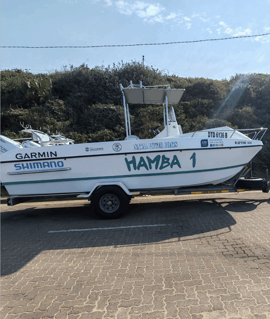 logo design, fishing, bashford fishing charters, marketing, south africa, branding, bold finch, graphic design