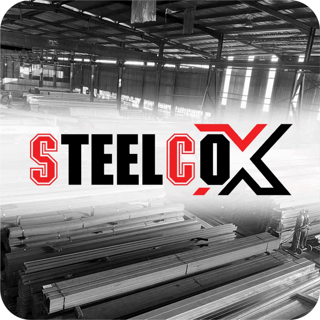 marketing, south africa, branding, bold finch, graphic design, brand identity, bird, finch, advertising, logo design, social media, Steelco, SteelcoX, Pietermaritzburg