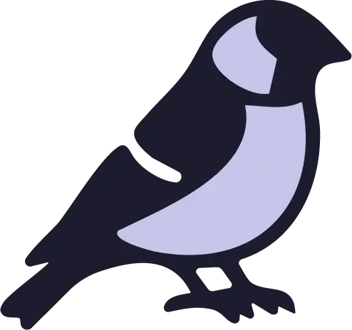 marketing, south africa, branding, bold finch, graphic design, brand identity, bird, finch, advertising, logo design, social media