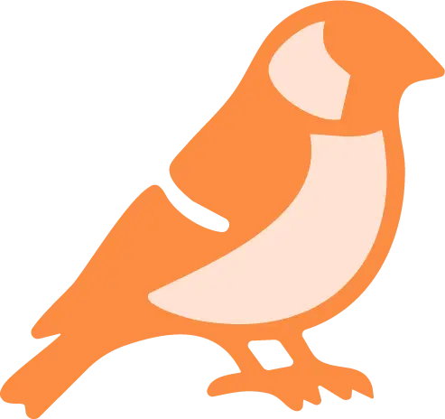 marketing, south africa, branding, bold finch, graphic design, brand identity, bird, finch, advertising, logo design, social media