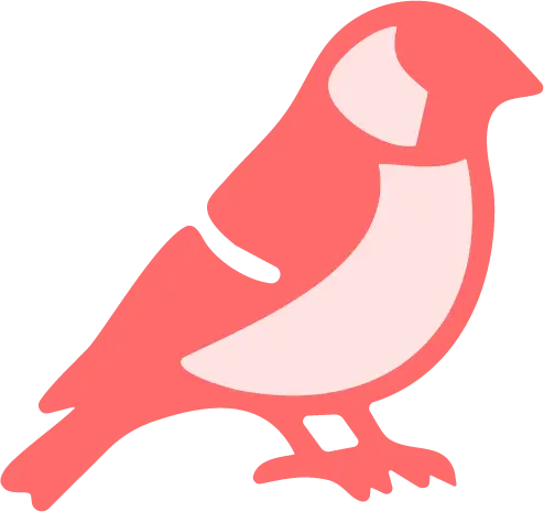 marketing, south africa, branding, bold finch, graphic design, brand identity, bird, finch, advertising, logo design, social media