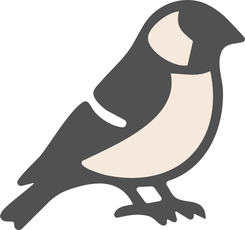 marketing, south africa, branding, bold finch, graphic design, brand identity, bird, finch, advertising, logo design, social media