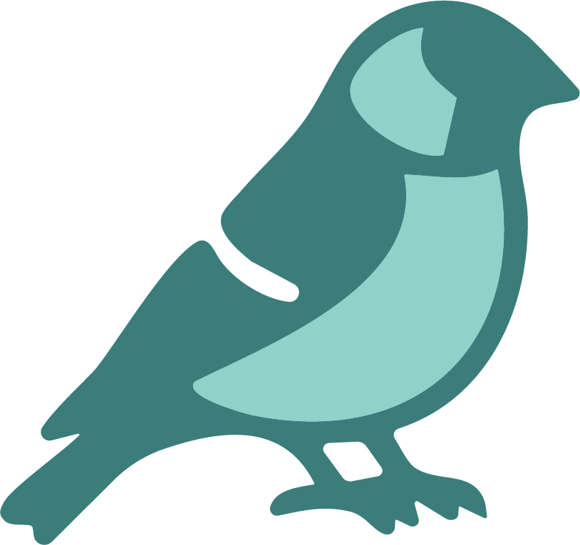 marketing, south africa, branding, bold finch, graphic design, brand identity, bird, finch, advertising, logo design, social media