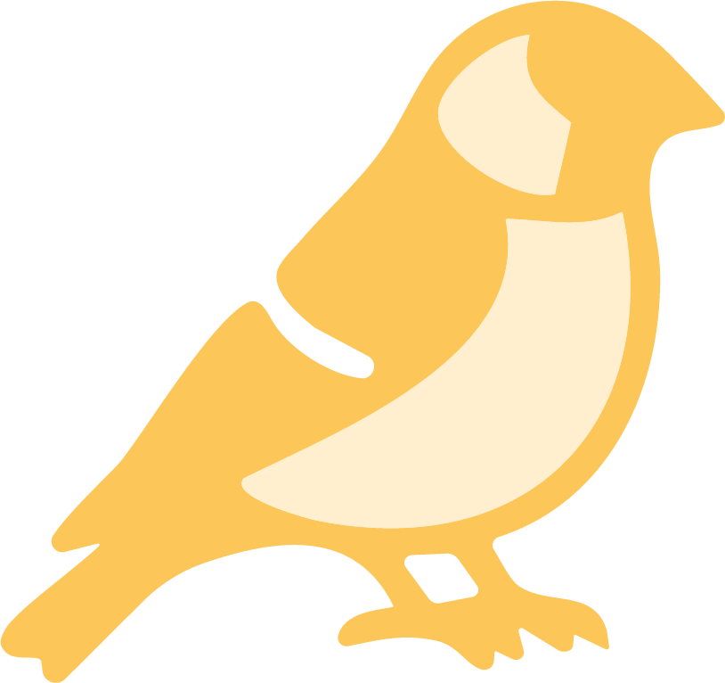 marketing, south africa, branding, bold finch, graphic design, brand identity, bird, finch, advertising, logo design, social media